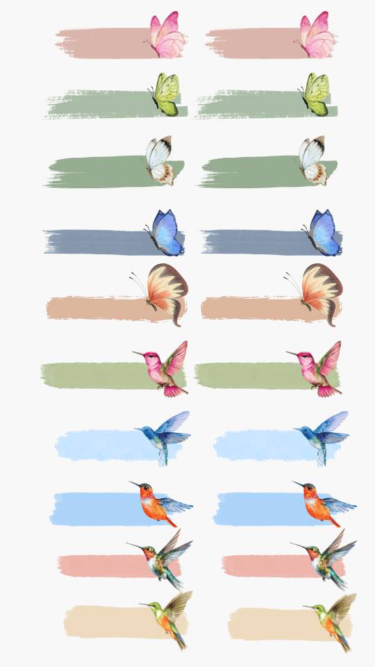 تکس باکس پروانه و پرنده