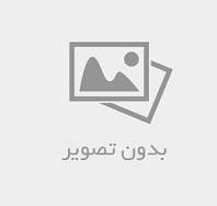 خلاصه فصل سوم و چهارم از کتاب ادبیات کودکان پیام نور قالب word